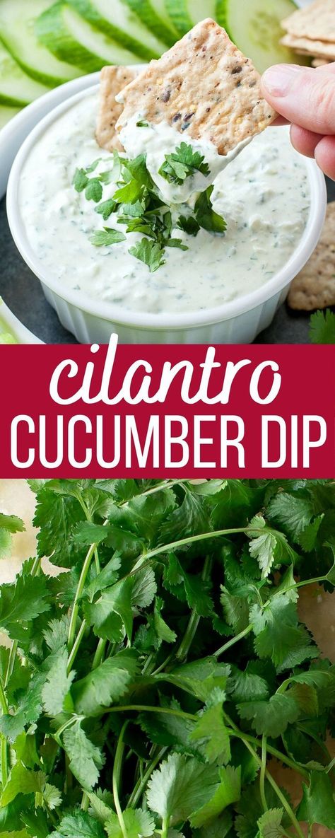 Cucumber Dip Recipe, Cucumber Dip, Healthy Appetizer, Yogurt Dip, Party Appetizers Easy, Party Appetizer, Buffalo Chicken Dip, Snacks Für Party, Latin Food