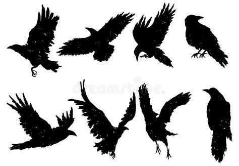 Crows Silhouette, Crow Vector, Tattoo Outline Drawing Stencil, Raven Images, Flying Crow, Grey Ink Tattoos, Rabe Tattoo, Crow Flying, Crow Silhouette