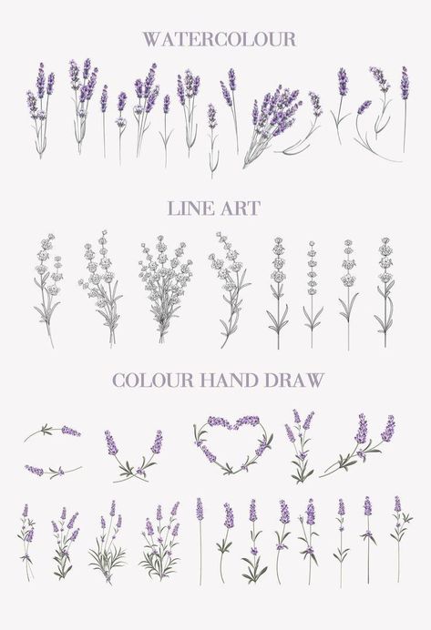 Wild Lavender Tattoo, Lavender Flash Tattoo, Lavender Neck Tattoo, Lavender Wreath Tattoo, Lavender Plant Tattoo Black And White, Daisy And Lavender Tattoo, Lavender Back Tattoo, Lavender Tattoo Meaning, Tiny Lavender Tattoo