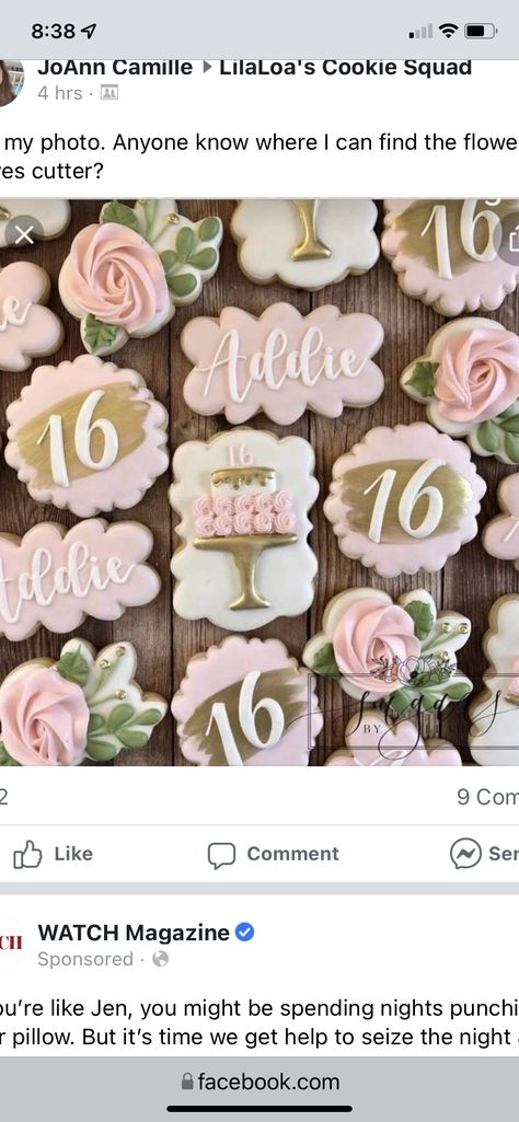 Crown Cookies, Gold Cookies, Graduation Desserts, Cookies Light, Pink Sweet 16, Happy Birthday Cookie, Sweet Sixteen Birthday Party Ideas, Pink Cookies, Sugar Cookie Royal Icing