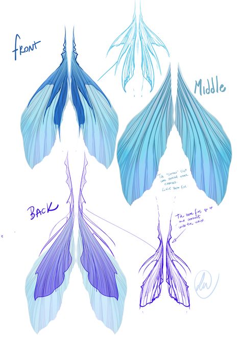 Bolovo ✨ CCXP H23-24 on Twitter: "Before actually starting the illustration, I spent some time trying to figure out and understand the design of Ariel's new tail, here are some studies. maybe it might interest someone #Sketch #thelittlemermaid #Ariel https://t.co/zkS3Q8wqYb" / Twitter Mermaid Tail Drawing, Mermaid Sketch, Mermaid Pose, Mermaid Drawings, Mermaid Tails, Fantasy Creatures Art, Mermaid Art, Art Tutorials Drawing, Sketchbook Art Inspiration