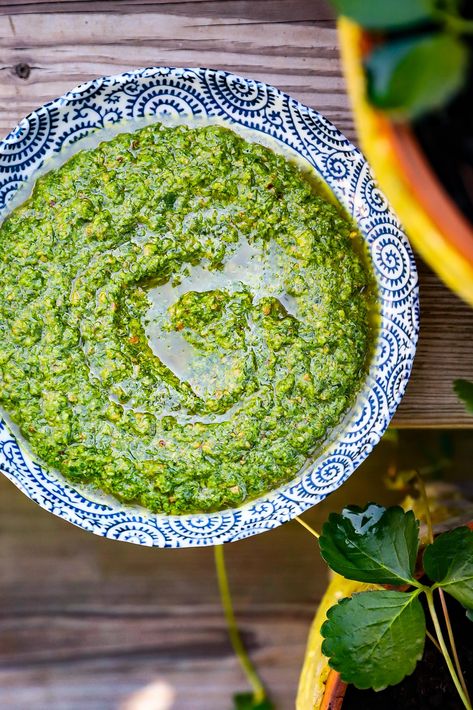 Chive Pesto | Well and Full Dairy Free Pesto, Homemade Pesto Sauce, Sauce Pesto, Basil Pesto Recipes, Pistachio Pesto, Walnut Pesto, Tomato Pesto, Pesto Chicken Pasta, Homemade Pesto