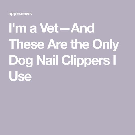 I'm a Vet—And These Are the Only Dog Nail Clippers I Use Trimming Dog Nails, Dog Nail Clippers, A Vet, Dog Nails, Cat Nails, Best Nail, Nails At Home, Nail Clippers, Toe Nails