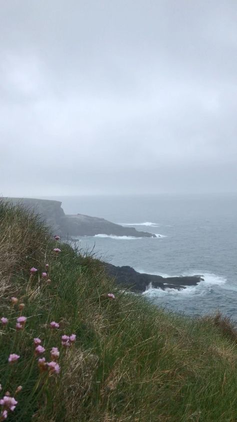 Ireland Rain Aesthetic, Rainy Ireland Aesthetic, Ireland On Film, Irish Countryside Aesthetic, Nature Ireland, Ireland Flowers, Ireland Donegal, Ireland Nature, Derry Ireland