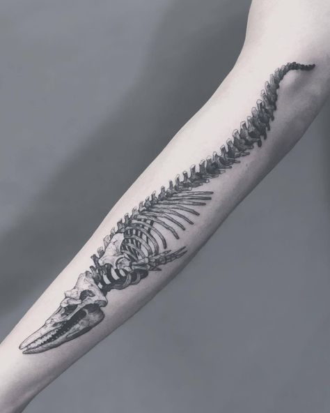 Dinosaur Tattoo Ideas, Tattoo Whale, Dinosaur Tattoo, Whale Tattoo, 16 Tattoo, Dinosaur Tattoos, Funky Tattoos, Whale Tattoos, Bone Tattoos