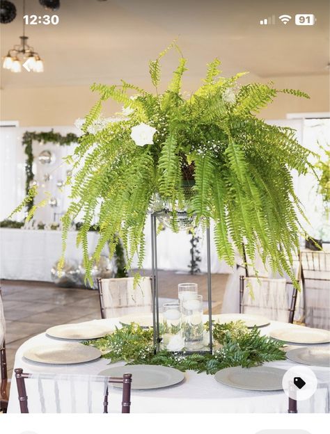 Tall Fern Centerpiece Wedding, Plant Based Centerpieces, Fern And Orchid Centerpiece, Pothos Plant Centerpieces Wedding, Fern Wedding Decorations, Fern Centerpieces Simple, Fern Centerpiece Wedding Round Table, Houseplants Wedding Decor, Fern Table Centerpieces