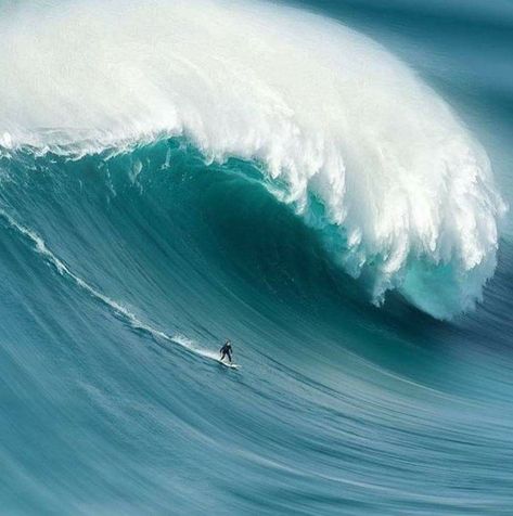 Surfing Huge Waves, Photo Surf, No Wave, Big Surf, Big Wave Surfing, Huge Waves, Soul Surfer, Surf Vibes, Surfing Pictures