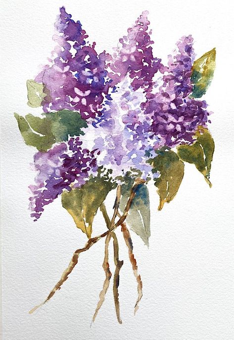 Lilac Bush Drawing, Lilac Art Painting, Watercolor Lilacs Tutorial, Lilac Watercolor Paintings, Lilacs Drawing, Pastel Watercolor Art, Lilac Sketch, Lilac Flower Painting, Lilacs Painting