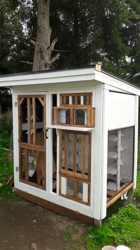 Pigeon Loft .Goran #aviariesideas Racing Pigeon Lofts, Pigeon Loft Design, Chicken Coop Kit, Pigeon Cage, Pet Pigeon, Pigeon House, Homing Pigeons, Pigeon Loft, Loft Plan