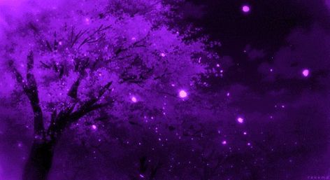 Purple Discord Banners Gifs, Purple Aesthetic Pfp Gif, Purple Anime Aesthetic Gif, Purple Anime Banner Gif, Purple Aesthetic Gif Banner, Purple Gif Aestethic, Dark Purple Aesthetic Gif, Discord Banner Gif Purple, Purple Anime Banner