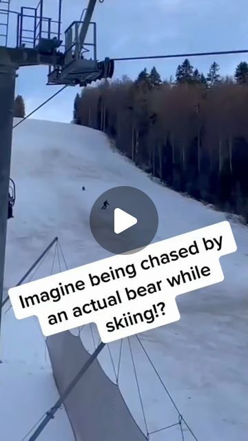 Only AnimalZ on Instagram: "THE NONSTOP CHASE 🐻: A Man 👨 is being chased by a BEAR 🐻 WHILE skiing ⛷️ in a ski resort in ROMANIA 🇷🇴. bears can attack humans if they feel threatened or see humans as a source of food. However, such attacks are rare. CREDIT: UKNOWN/original owner……… #bear #bears #bearsofinstagram #wild #wildlife #wildlifephotography #wildanimals #wildnature #wildlifeonearth #wildlifeofinstagram #wildlifeplanet #wildlifephotographer #wildlife_shots #wildlifeconservation #wildlifelovers #animal #animals #animallovers #animalcrossing #animallover #animalphotography #animalkingdom #animalplanet #animaladdicts #animalcrossingnewhorizons #animalsofinstagram" Bear Attacking, Wild Animals Attack, Being Chased, Bear Attack, Bear Bears, Animal Attack, Funny Bears, Wow Video, Rare Animals