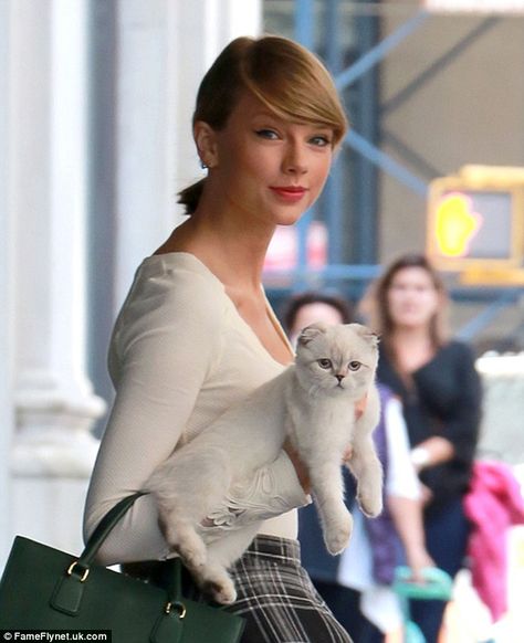 Celebrities With Cats, Taylor Swift Cat, Olivia Benson, Meredith Grey, Mariska Hargitay, Scottish Fold, Cat People, Taylor Swift Fan, Taylor Swift Pictures