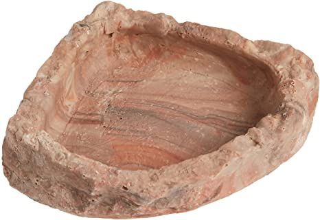 Fluker's Corner Rock Food & Water Bowl for Hermit Crabs Rock Bowl, Rock Food, Hermit Crab Food, Crab Food, Hermit Crabs, Food Bowls, Bowl Food, Crab Recipes, Corner Design