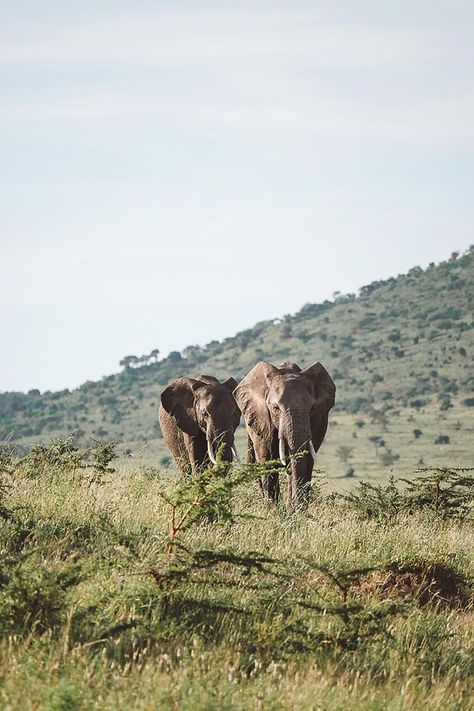 Kenya Landscape, Kenya Aesthetic, Kenya Photography, Blonde Abroad, Diani Beach, Kenya Travel, Namib Desert, Rift Valley, African Animals