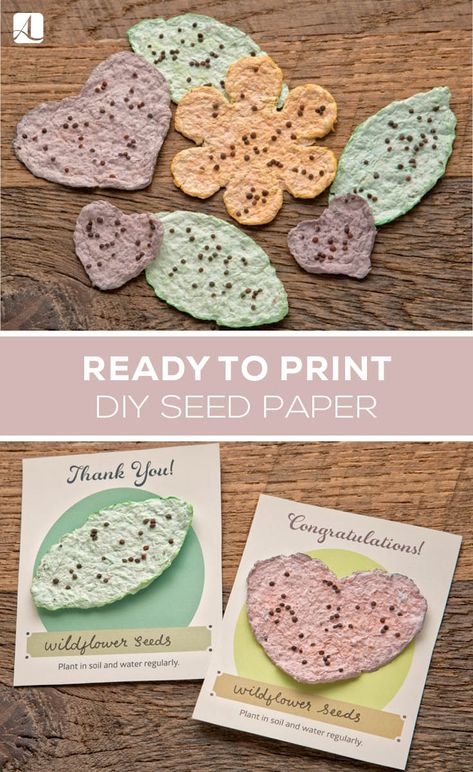 Make Your Own Seed Paper - American Lifestyle Magazine How To Make Seed Paper For Planting, Seed Cards Plantable Diy, Cottagecore Crafts To Sell, Handmade Paper Ideas, Paper Seed Cards, Plant Crafts For Kids, Diy Recycled Paper, Seed Paper Diy, Paper With Seeds