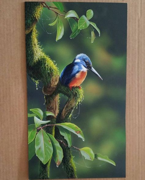 Azure Kingfisher. 46 ×26cms Acrylic on claybord. #jameshoughartist #artist #australianbirds #birdart #birds #azurekingfisher… Animals Oil Painting, Nature Study Paintings, Acrylic Bird Painting, Bird Painting Acrylic, Watercolor Paintings Nature, Boho Art Drawings, Digital Painting Techniques, Art Painting Gallery, Dark Art Drawings