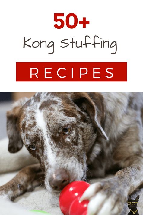 50+ Irresistible Kong Stuffing Recipes Your Dog Will Go Mutts Over Dog Toys Diy Homemade, Kong Stuffing Recipes, Dog Kong, Stuffing Ideas, Kong Stuffing, Big Dog Toys, Kong Recipes, Smart Dog Toys, Dog Activity