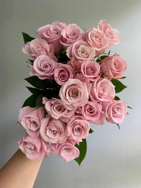 Blush pink, small headed roses. Pink Roses Aesthetic, Pink Roses Bouquet, Soft Pink Roses, Blush Pink Roses, Blush Pink Flowers, Rose Varieties, Flower Therapy, Pink Bouquet, Beautiful Flower Arrangements