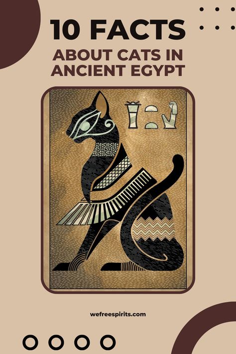 Explore the purr-fect world of Ancient Egyptian cats: from sacred deities to royal pets. Discover 10 extraordinary feline facts! #catsinegypt #bastet Ancient Egypt Facts, Ancient Egypt Cat, Egypt Bastet, Cat History, Egypt Animals, Ancient Egypt Lessons, Ancient Egypt Crafts, Cats In Ancient Egypt, Egypt Lessons