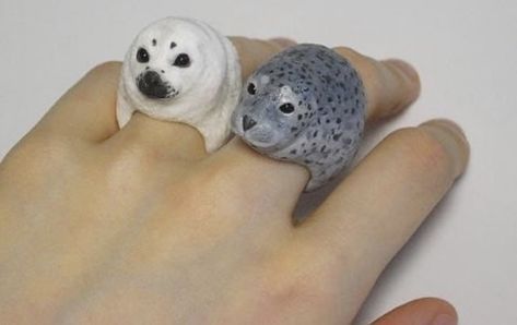 Cute Seals, Baby Seal, Polymer Clay Animals, Clay Animals, Animal Rings, Miniature Animals, Silly Animals, Polymer Clay Charms, Clay Charms