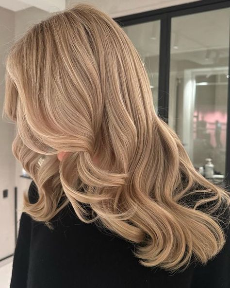 Beige Toned Blonde Hair, Hair Toner Colors, Light Warm Blonde Hair, Warm Blonde Hair Color Honey, Warm Blonde Hair, Beige Blonde Hair, Summer Blonde Hair, Blonde Hair Transformations, Beige Hair