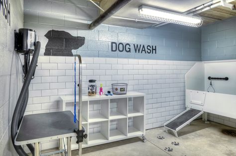 Dog Washing Station Midtown Square Apts #PetFriendly Dog Grooming Salon Decor, Dog Daycare Business, Station Aesthetic, Pet Store Design, Dog Grooming Tubs, Wash Station, Pet Grooming Salon, Washing Station, Dog Grooming Shop