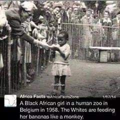 Im Gonna Hurt Somebodys Feelings Human Zoo History, Human Zoo, African American History Facts, Black Fact, Amsterdam Holland, Black Consciousness, African Children, Black Knowledge, A Monkey