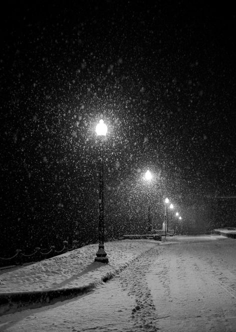 This pic was taken on a snowy, lamp-lit night in December in a sleepy little river town.  As the snow fell, streets cleared.  All but the lights of lamps.  Beautiful. This listing is for a 5X7 print on premium quality, archival paper with a matte finish. Can also be mounted to wood, canvas, metal print or made in to greeting cards! Will be signed by me and shipped in a sturdy photo mailer to ensure it's safe arrival to you. You can also order other sizes!  {Please contact me for more info!} Silent Night Aesthetic, Winter Black Aesthetic, Snowy Street Night, Snow Night City, Snow In Night, Winter Core Aesthetic, Snowy Night Aesthetic, Winter Aesthetic Night, Snowing At Night