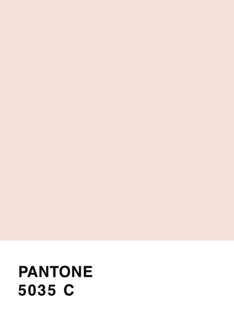 Dusty Peach Color, Pale Peach Paint Color, Pale Pink Walls, Peach Paint Colors, Bridal Suite Decor, Pale Peach Color, Coffee House Design, Rose Smith, Peach Paint