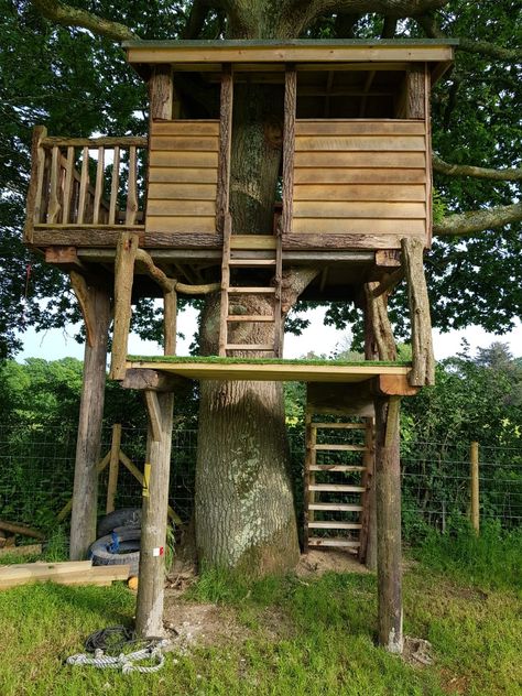 Tree House Easy To Build, Beautiful Tree Houses For Kids, Telephone Pole Tree House, Cheap Treehouse Ideas, Homemade Tree House, Tree House Simple, Easy Treehouse, Small Tree House, Treehouse Ideas