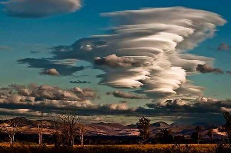 "There are 99 things that can kill you in this picture, and only one of them is me." | 19 Times Australia's Weather Was Batshit Insane Clouds Images, Australia Weather, Thunderstorm Clouds, Lenticular Clouds, Cloud Formations, Weather Cloud, Beautiful Clouds, Wild Weather, Unique Places