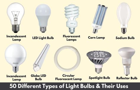 light electric name - Google Search Types Of Lights, Illumination Light, Different Light Bulbs, Mercury Lamp, Compact Fluorescent Lamps, Halogen Light Bulbs, Incandescent Light Bulb, Electric Lamp, Incandescent Light