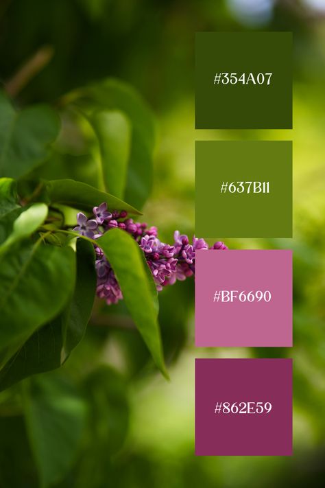 Green and Lavender Color Palette: Soft purple blossoms nestled within lush green foliage, offering a delicate and harmonious blend of colors. Plum And Mint Green Color Schemes, Green Palette Colour, Purple And Green Colour Palette, Color Combinations With Green, Kelly Green Color Palette, Purple And Green Palette, Color Palette With Green, Purple And Green Color Palette, Coloring Palette