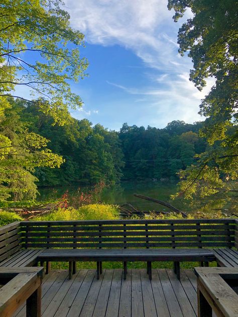 Walk In Woods, Beauty Place, Countryside Life, Sky Walk, Spring Morning, Country Porch, Beauty Places, Cute Hamsters, Walk In The Woods