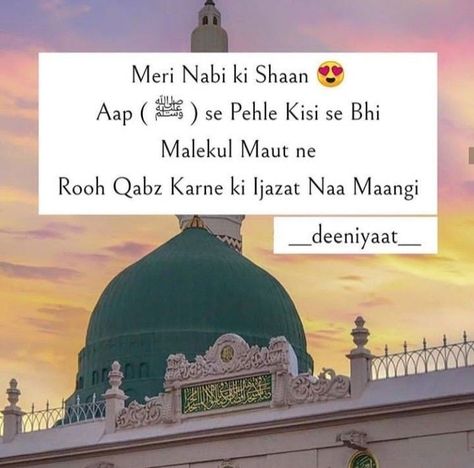 Milad Ul Nabi Mubarak, Virat Kohli Batting, Kohli Virat, Eid E Milad, Eid Milad Un Nabi, Milad Un Nabi, Eid Milad, Love In Islam, Muslim Love Quotes