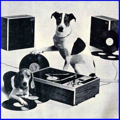 dog with records Mood Animals, Vintage Record Player, Party Animals, Rock N’roll, Record Players, Vintage Records, Hound Dog, Record Player, Record Store