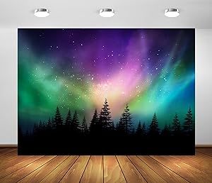 Northern Lights Decorations, Lights Backdrop, Northern Lights Photo, Night Sky Background, Canadian Forest, Polar Lights, Scene Setters, Vbs Themes, Forest Backdrops