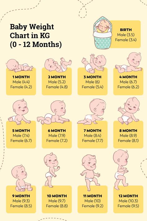 Baby weight chart in KG for 0 to 12 months Pregnant Months Chart, Baby Weight Gain Chart, Babywise 5 Month Schedule, Baby Formula Feeding Chart, Baby Growth In Womb, Baby Girl Weight Chart, Weeks To Months Pregnant Chart, Baby Weight Chart, Baby Development Chart