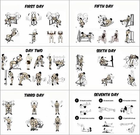 1- This Insanity Workout Calendar takes 6 days and each day is dedicated for one group of muscles. They are divided as the following:chest musclesThe first dayhands musclesDay Twoshoulder musclesThird dayfor little Ab Fitness, 7 Day Workout Plan, Strenght Training, Workout Morning, 7 Day Workout, Gym Program, Workout Fat Burning, Fitness Studio Training, Workout Program Gym