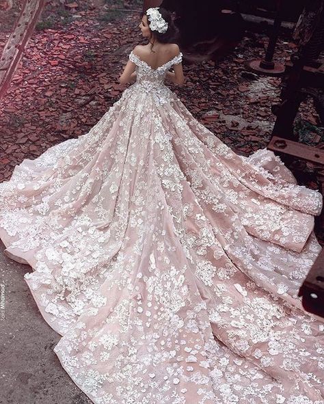 Grand & Romantic: 12 Wedding Dresses With Dramatic Trains Wedding Dresses Blush, Organza Wedding Dress, Organza Wedding, Pink Wedding Dress, Applique Wedding Dress, A Wedding Dress, فستان سهرة, Beauty Dress, Long Bridesmaid Dresses