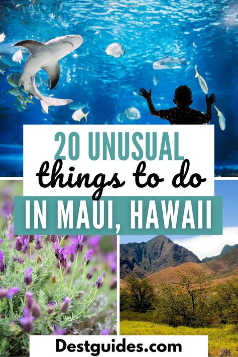 Looking for the best things to do in Maui, Hawaii beyond the usual tourist spots? You're in the right place as this post will show you all the best non-touristy things to do in Maui, Hawaii for an amazing trip. From the best hidden gems in Maui to the unusual things to do in Maui, this post will show you beautiful attractions in Maui you didn't even know existed. So what are you waiting for? Grab your bags, and let's explore the off-the-beaten path in Maui. Travel Maui Hawaii, Best Maui Excursions, Kaanapali Maui Things To Do, Best Things To Do In Maui Hawaii, Maui Must Do Activities, Top Things To Do In Maui, Maui Outfit Ideas 2023, What To Do In Maui Hawaii, Kihei Maui Things To Do