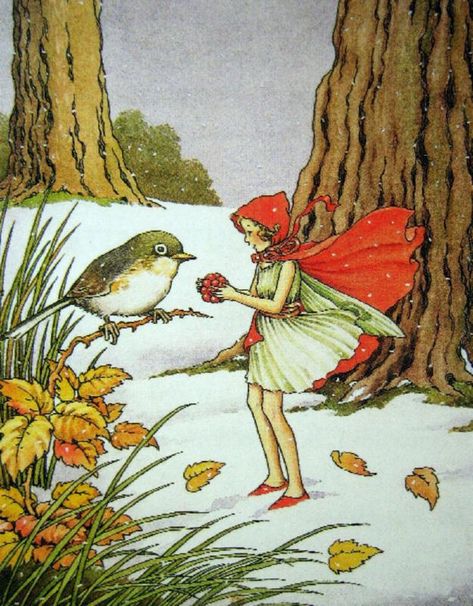 The Winter Fairy Came in the Snow ~ Ida Rentoul Outhwaite Bird Sparrow, Illustration Kunst, Postcard Vintage, Fairy Illustration, Snow Fairy, Fairy Pictures, Winter Fairy, Cicely Mary Barker, Snowy Forest