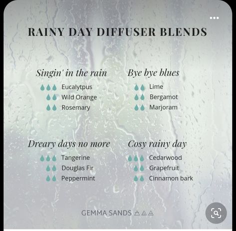 Rainy Day Diffuser Blends, Essential Oils Diffuser Blends, Ways To Use Essential Oils, Doterra Diffuser Blends, Essential Oil Combinations, Doterra Essential Oils Recipes, Essential Oil Diffuser Blends Recipes, Young Living Essential Oils Recipes, Essential Oils Guide