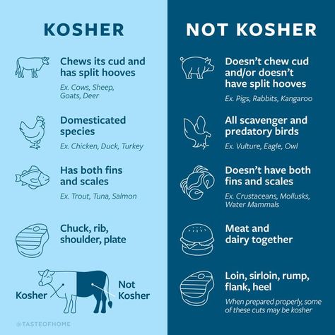 Kosher Diet Meal Plan, Conversion To Judaism, Kosher Foods List, Kosher Diet Rules, Kosher Food List, Jewish Food Traditional, Jewish Brisket Recipes, Kosher Rules, Hebrew Culture