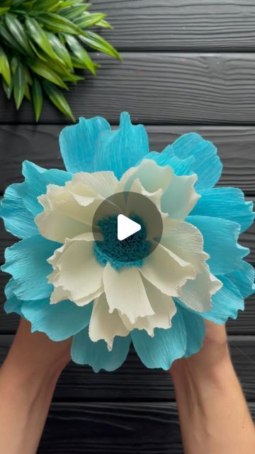 Flowers Made Out Of Crepe Paper, Decorating With Crepe Paper, Crepe Paper Crafts Decor, Crepe Paper Decoration, Crape Paper Decoration, Diy Crepe Paper Flowers Tutorials, Crap Paper Flower, Tropical Paper Flowers Diy, Crape Paper Decorations