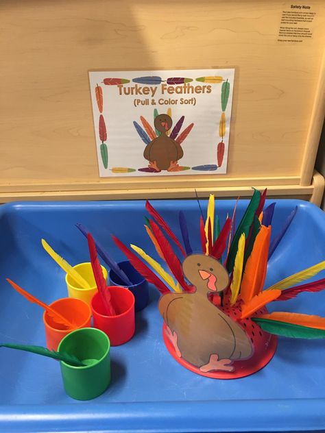 Thanksgiving Practical Life Montessori, Turkey Activity For Toddlers, Turkeys Preschool Activities, Feed The Turkey Activity, Thanksgiving Unit Preschool, Turkey Fine Motor Activities, 5 Senses Sensory Bin, Turkey Sensory Bin, Thanksgiving Fine Motor Activities