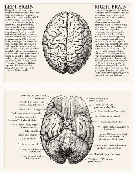 Science Vintage, Dream Psychology, Psych Major, Medical Drawings, Psychology Notes, Medical School Life, Psychology Studies, Forensic Psychology, Psychology Major