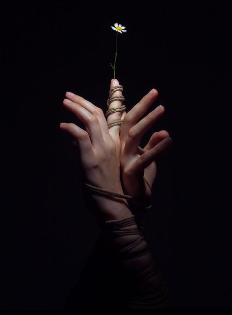 Hand Photography, Fotografi Vintage, Photographie Portrait Inspiration, 카드 디자인, Hand Holding, Dark Photography, The Grace, Art Reference Photos, Black Aesthetic