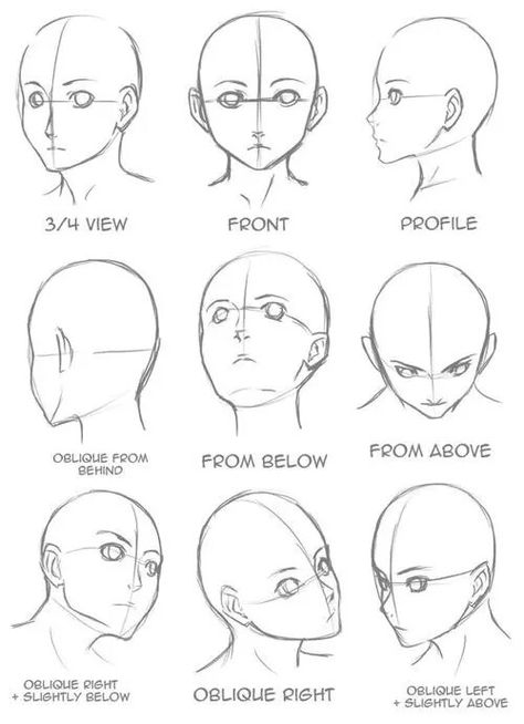 Face Portrait Drawing Easy, Three Quarters View Face, Anime Head Shape Reference, Different Profiles Drawing, Nose Front View Drawing, Anime Front View, Noses Front View, Anime Face Step By Step, How To Draw Anime Face