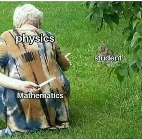 Math Memes Student, Group Chat Funny, Essay Writing Help, Clean Jokes, Military Humor, Christian Humor, Like Animals, Daily Memes, Health Lifestyle